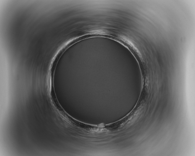 X0000096401323200801241153