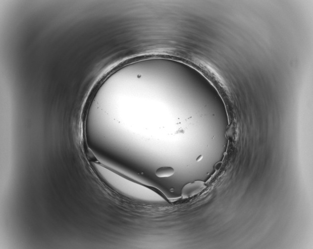 X0000096401324200801241153