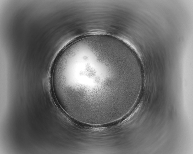 X0000096401325200801241153