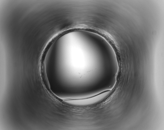 X0000096401326200801241153