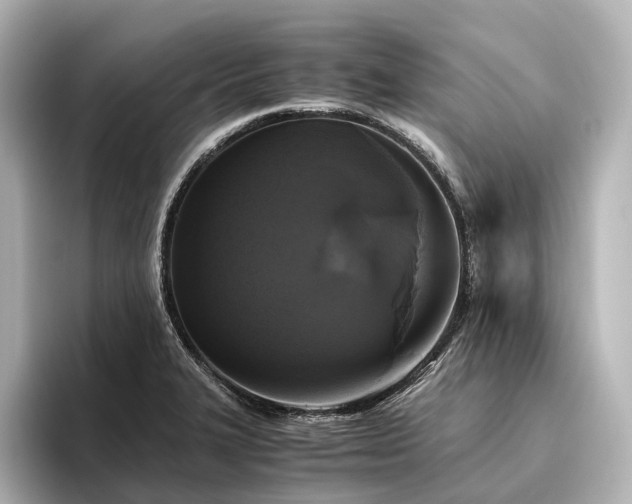 X0000096401327200801241153