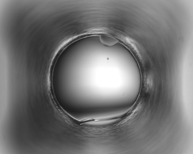 X0000096401328200801241153