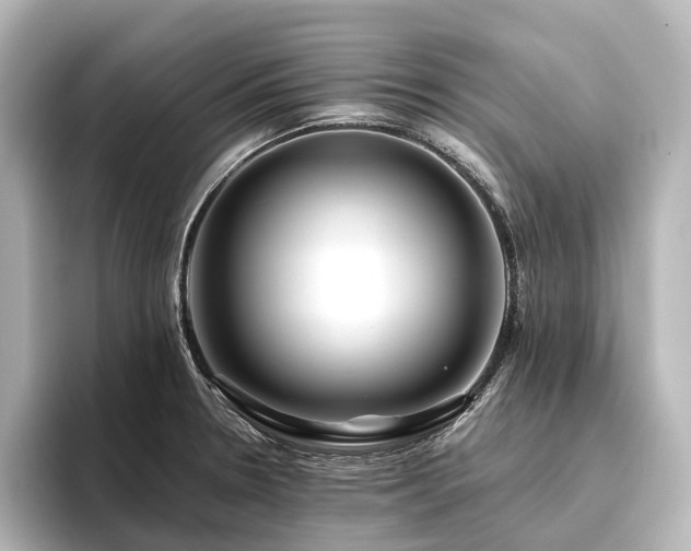 X0000096401330200801241153