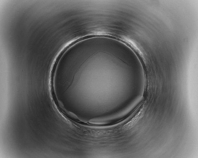 X0000096401331200801241153