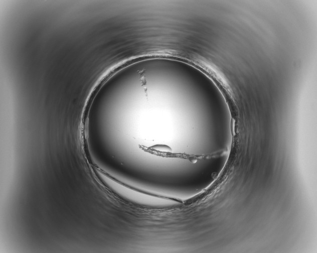 X0000096401332200801241153