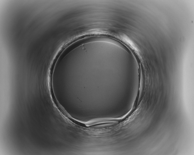 X0000096401334200801241153