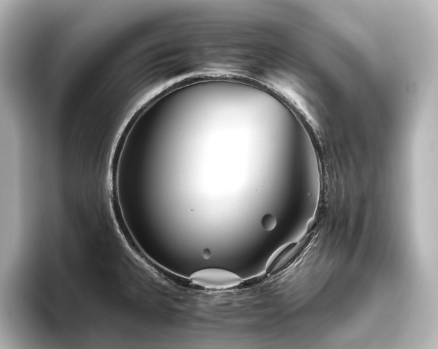 X0000096401335200801241153