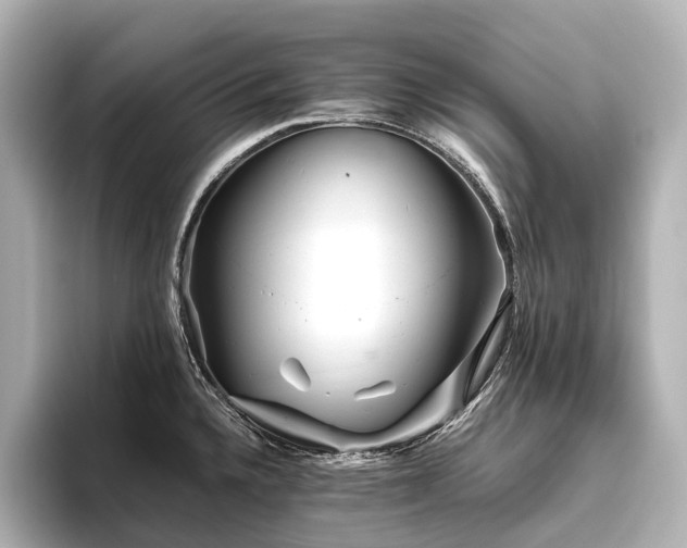 X0000096401336200801241153