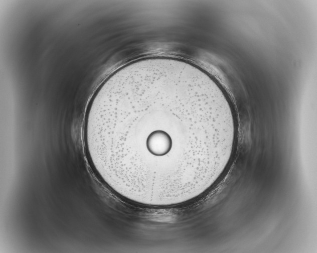 X0000096401338200801241153