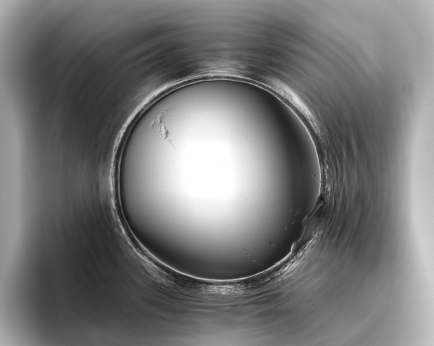 X0000096401339200801241153