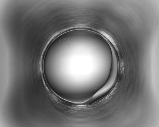 X0000096401342200801241153