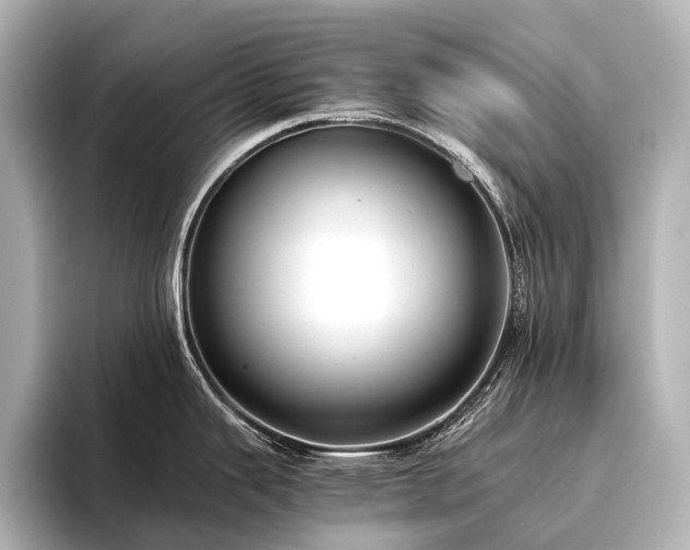 X0000096401343200801241153