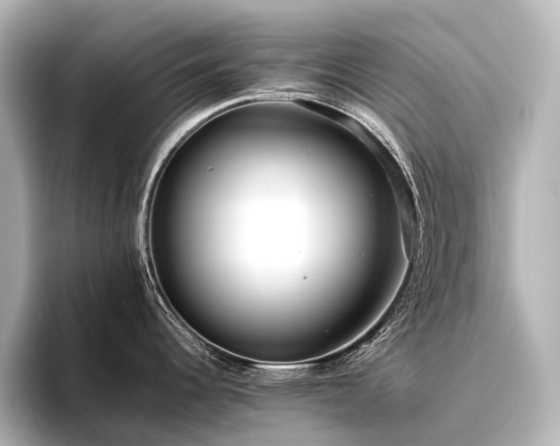 X0000096401344200801241153