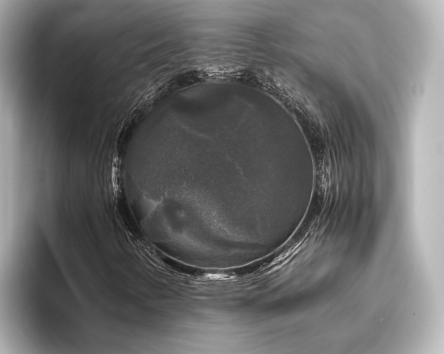 X0000096401346200801241152