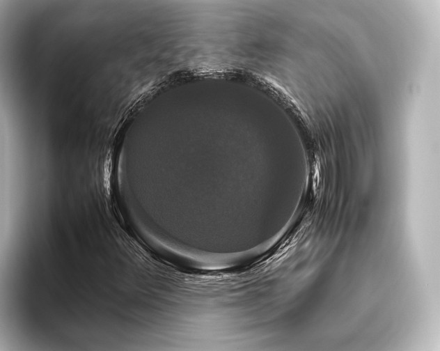 X0000096401348200801241152