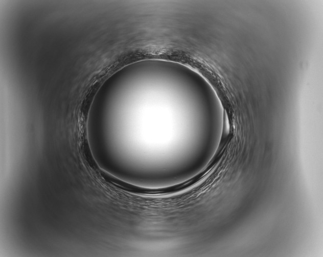 X0000096401349200801241152