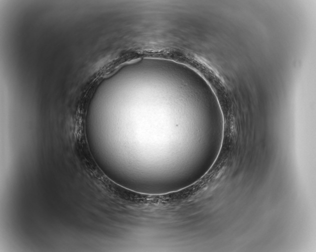X0000096401350200801241152
