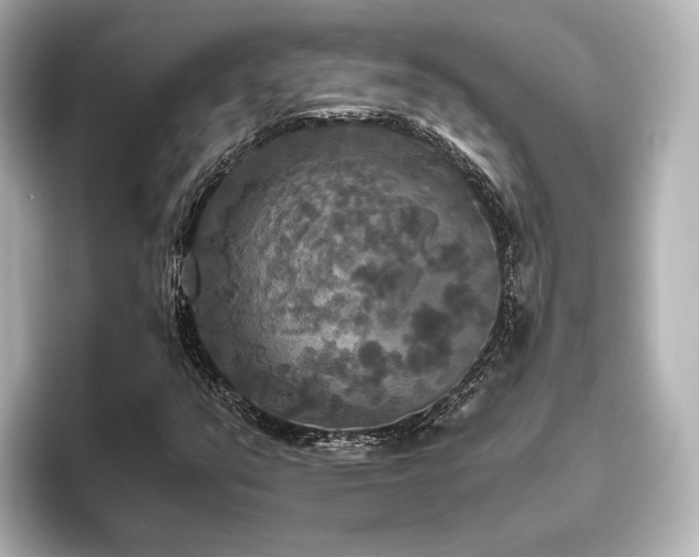 X0000096401351200801241152