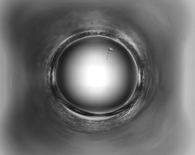 X0000096401352200801241152