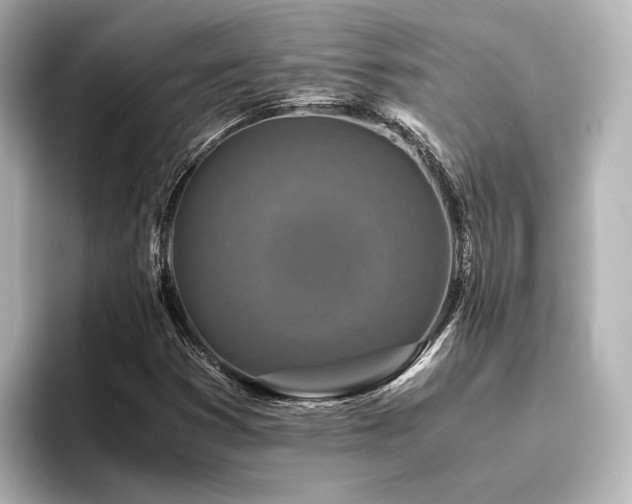 X0000096401353200801241152