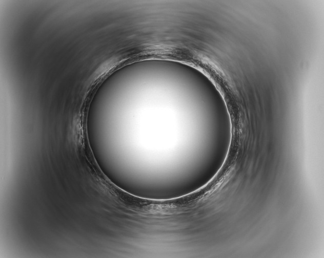 X0000096401354200801241152