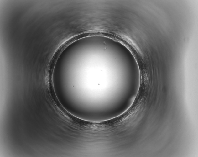 X0000096401356200801241152