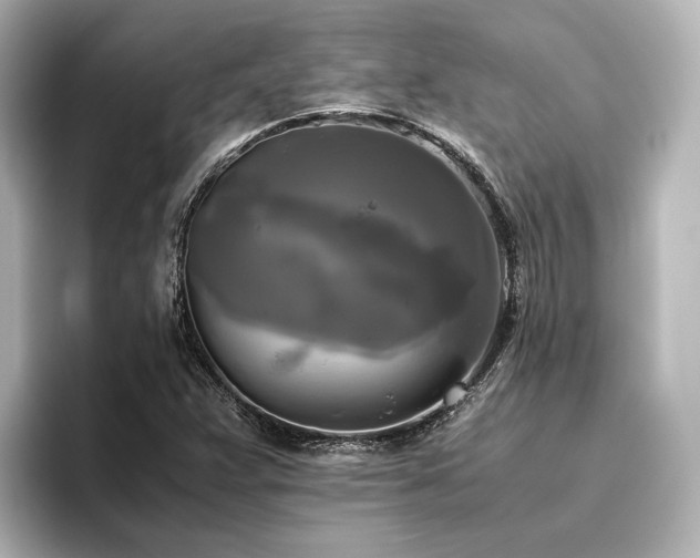 X0000096401359200801241152