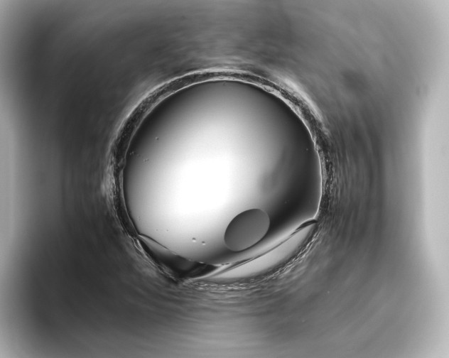 X0000096401360200801241152