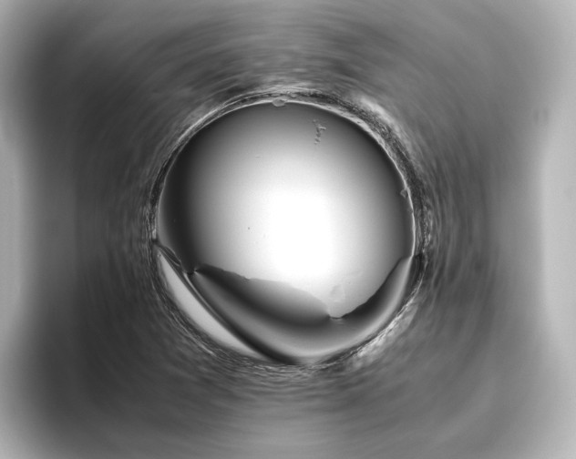 X0000096401361200801241152