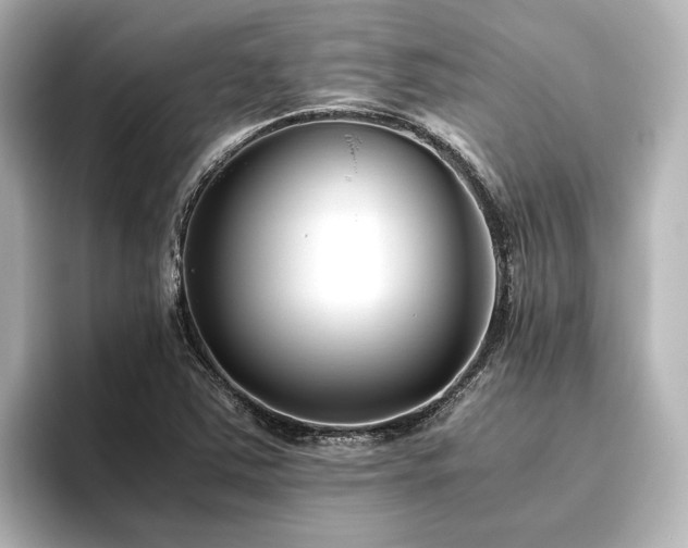 X0000096401363200801241152