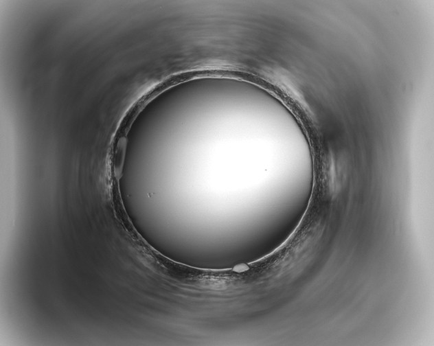 X0000096401364200801241152