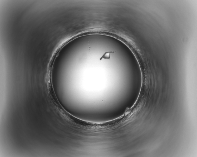 X0000096401366200801241152