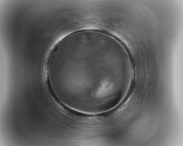 X0000096401367200801241152