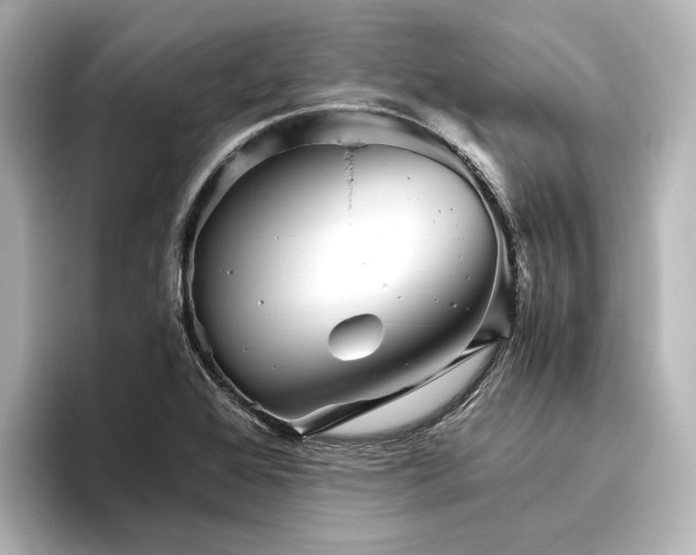 X0000096401368200801241152