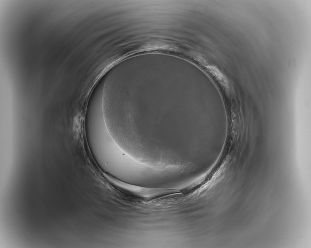 X0000096401369200801241152