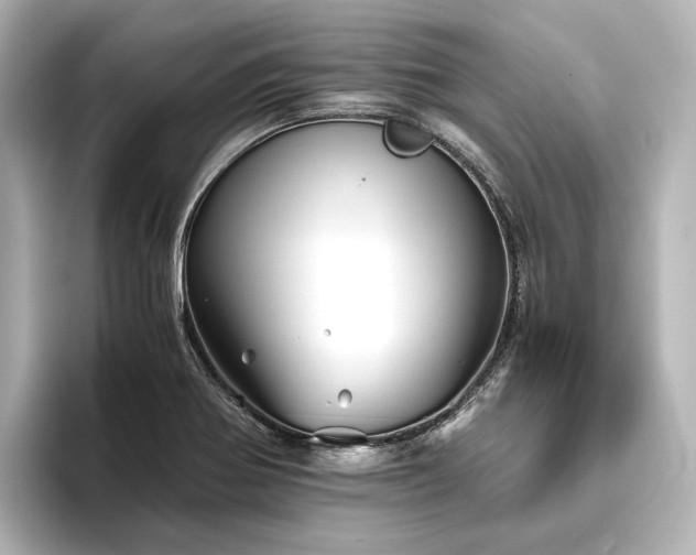 X0000096401370200801241152