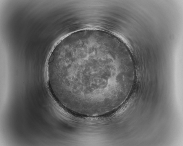 X0000096401371200801241152