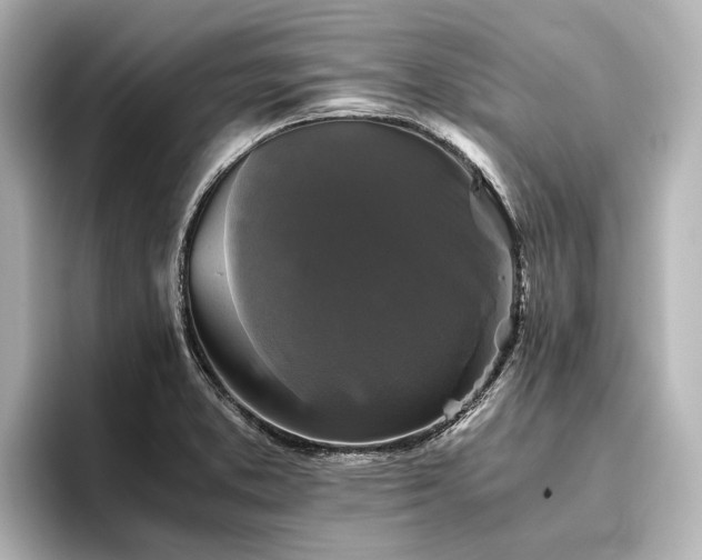 X0000096401373200801241152