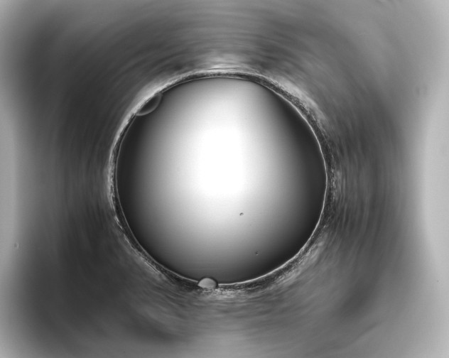 X0000096401374200801241152