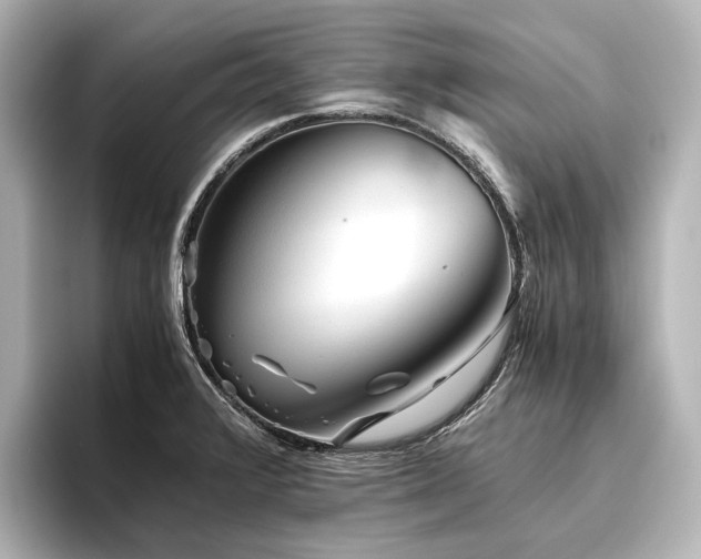 X0000096401376200801241152