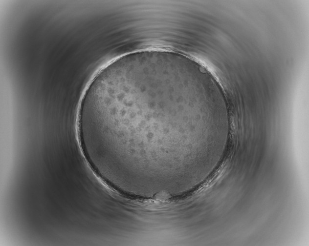 X0000096401379200801241152