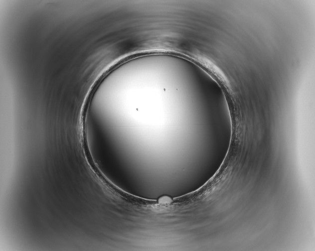 X0000096401380200801241152