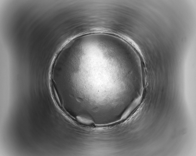 X0000096401381200801241152