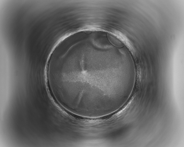 X0000096401382200801241152