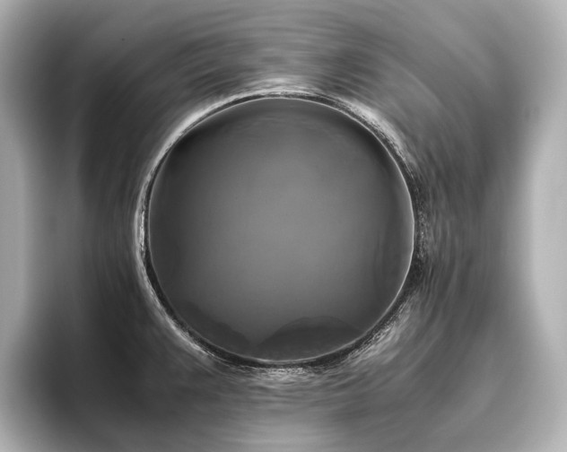 X0000096401383200801241152