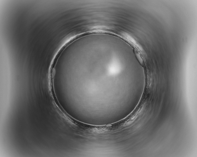 X0000096401384200801241152