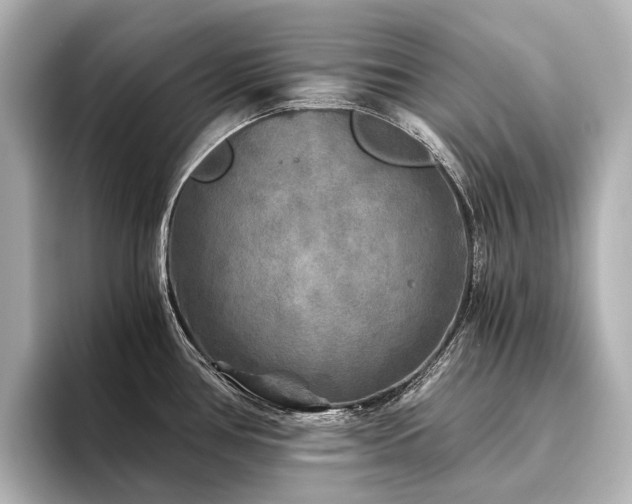 X0000096401386200801241152