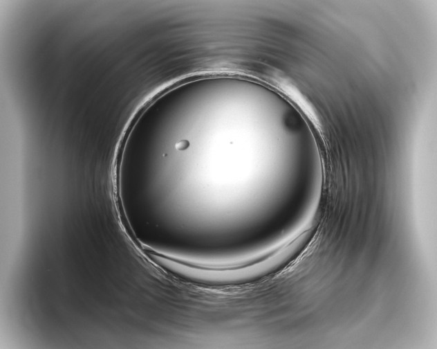 X0000096401388200801241152