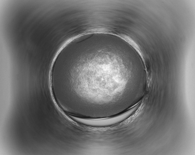 X0000096401389200801241152