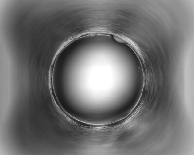 X0000096401390200801241152